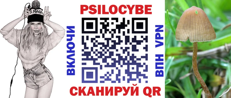 блэк спрут зеркало  Макаров  Псилоцибиновые грибы Psilocybine cubensis 